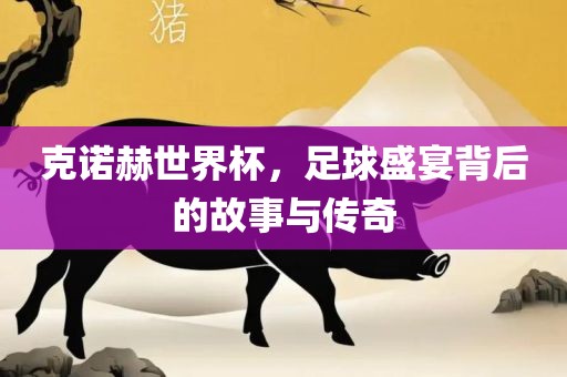 克诺赫世界杯，足球盛宴背后的故事与传奇