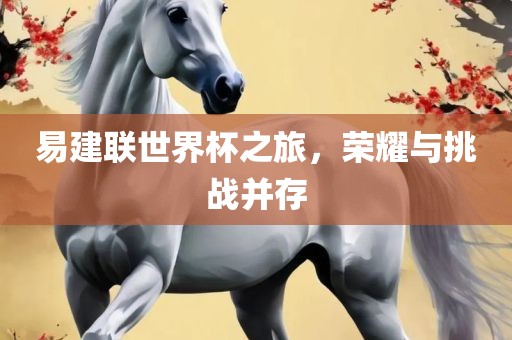 易建联世界杯之旅，荣耀与挑战并存