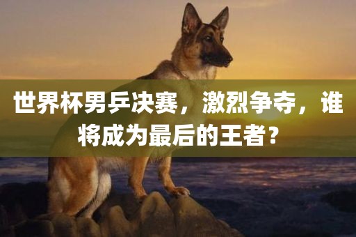 世界杯男乒决赛，激烈争夺，谁将成为最后的王者？