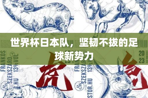 世界杯日本队，坚韧不拔的足球新势力