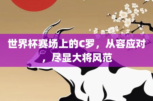 世界杯赛场上的C罗，从容应对，尽显大将风范