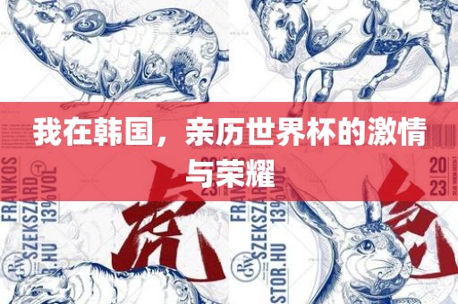 我在韩国，亲历世界杯的激情与荣耀