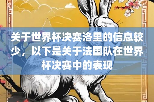 关于世界杯决赛洛里的信息较少，以下是关于法国队在世界杯决赛中的表现