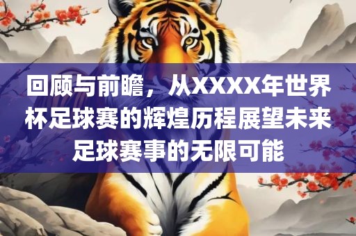 回顾与前瞻，从XXXX年世界杯足球赛的辉煌历程展望未来足球赛事的无限可能