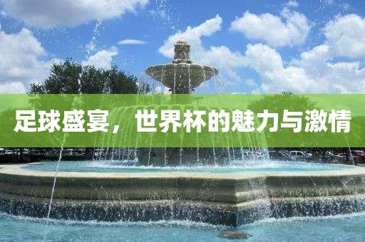 足球盛宴，世界杯的魅力与激情