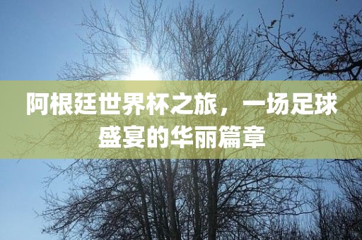 阿根廷世界杯之旅，一场足球盛宴的华丽篇章