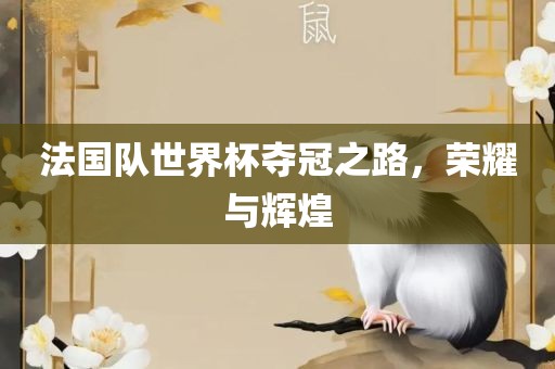 法国队世界杯夺冠之路，荣耀与辉煌