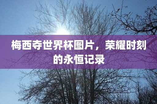 梅西夺世界杯图片，荣耀时刻的永恒记录