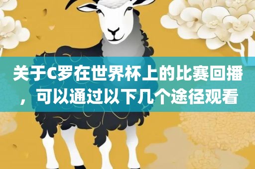 关于C罗在世界杯上的比赛回播，可以通过以下几个途径观看