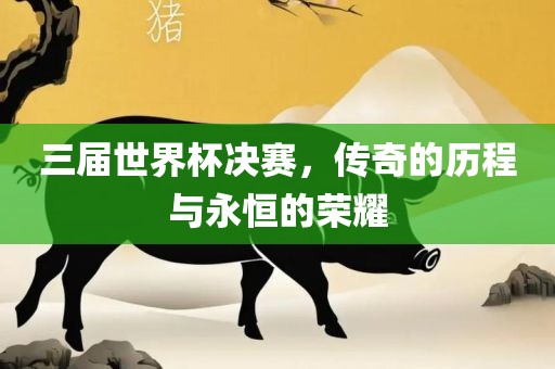 三届世界杯决赛，传奇的历程与永恒的荣耀
