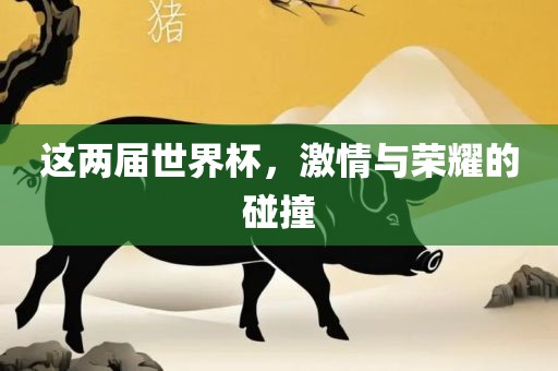 这两届世界杯，激情与荣耀的碰撞