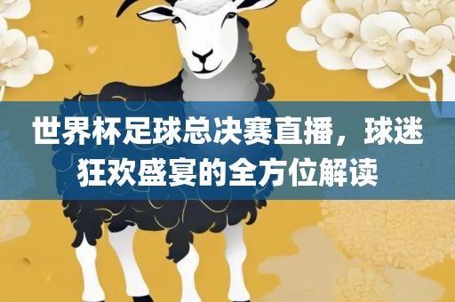 世界杯足球总决赛直播，球迷狂欢盛宴的全方位解读