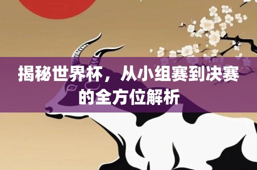 揭秘世界杯，从小组赛到决赛的全方位解析