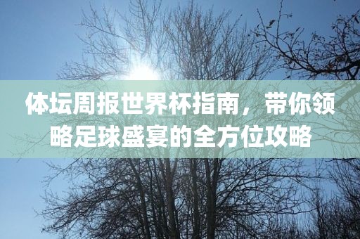 体坛周报世界杯指南，带你领略足球盛宴的全方位攻略