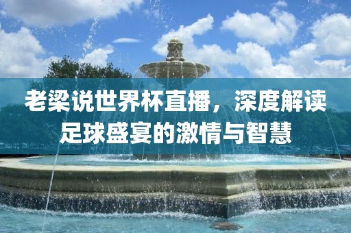 老梁说世界杯直播，深度解读足球盛宴的激情与智慧