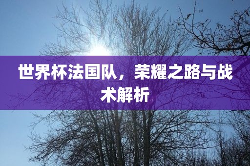 世界杯法国队，荣耀之路与战术解析