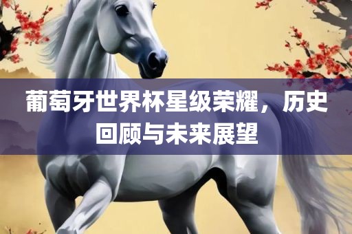 葡萄牙世界杯星级荣耀，历史回顾与未来展望