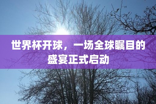 世界杯开球，一场全球瞩目的盛宴正式启动眉山市正发家政服务有限公司