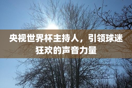 央视世界杯主持人，引领球迷狂欢的声音力量