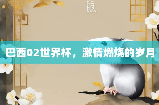 巴西02世界杯，激情燃烧的岁月