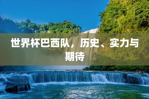 世界杯巴西队，历史、实力与期待