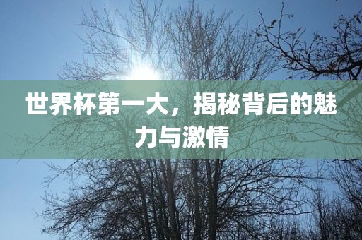 世界杯第一大，揭秘背后的魅力与激情