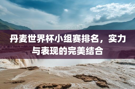 丹麦世界杯小组赛排名，实力与表现的完美结合