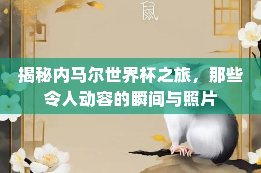 揭秘内马尔世界杯之旅，那些令人动容的瞬间与照片