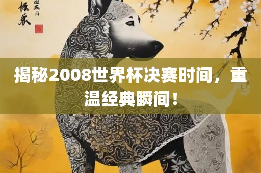 揭秘2008世界杯决赛时间，重温经典瞬间！