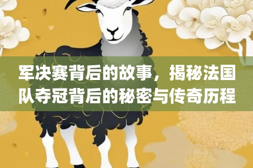 军决赛背后的故事，揭秘法国队夺冠背后的秘密与传奇历程