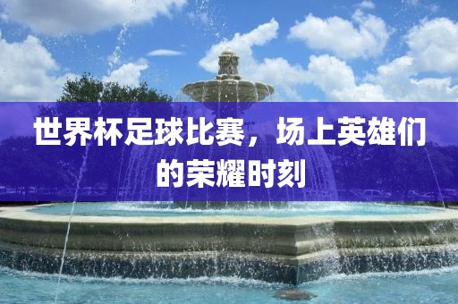 世界杯足球比赛，场上英雄们的荣耀时刻