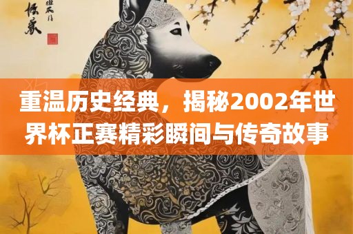 重温历史经典，揭秘2002年世界杯正赛精彩瞬间与传奇故事