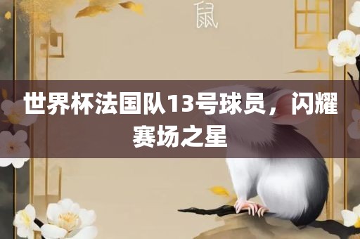 世界杯法国队13号球员，闪耀赛场之星