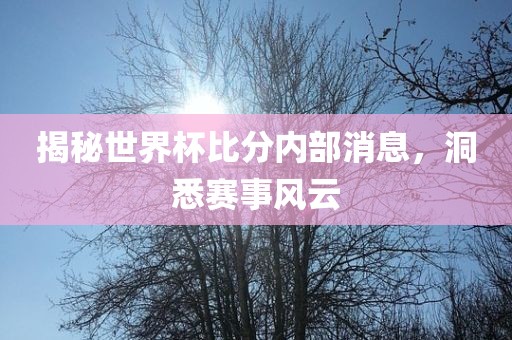 揭秘世界杯比分内部消息，洞悉赛事风云