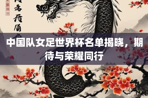 中国队女足世界杯名单揭晓，期待与荣耀同行