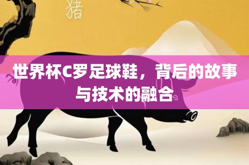 世界杯C罗足球鞋，背后的故事与技术的融合