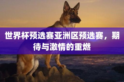 世界杯预选赛亚洲区预选赛，期待与激情的重燃