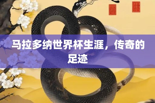 马拉多纳世界杯生涯，传奇的足迹