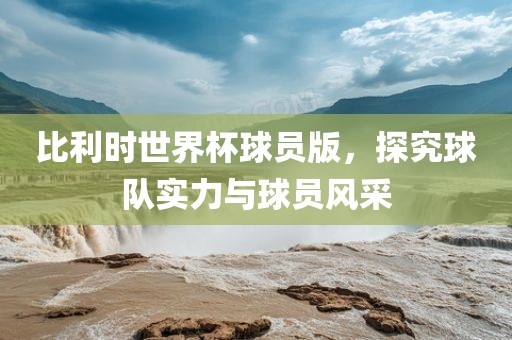 比利时世界杯球员版，探究球队实力与球员风采