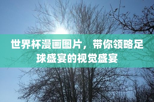 世界杯漫画图片，带你领略足球盛宴的视觉盛宴