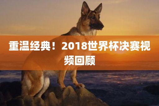 重温经典！2018世界杯决赛视频回顾