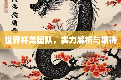 世界杯美国队，实力解析与期待