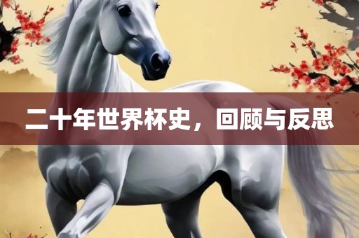 二十年世界杯史，回顾与反思