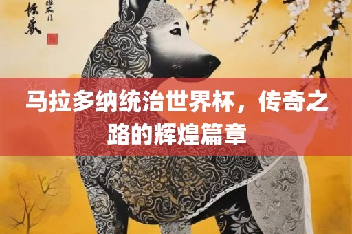 马拉多纳统治世界杯，传奇之路的辉煌篇章