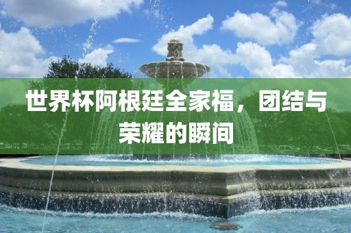 世界杯阿根廷全家福，团结与荣耀的瞬间