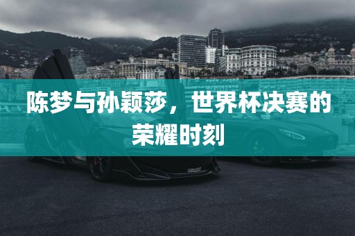 陈梦与孙颖莎，世界杯决赛的荣耀时刻