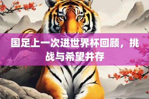 国足上一次进世界杯回顾，挑战与希望并存