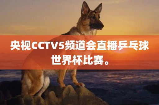 央视CCTV5频道会直播乒乓球世界杯比赛。