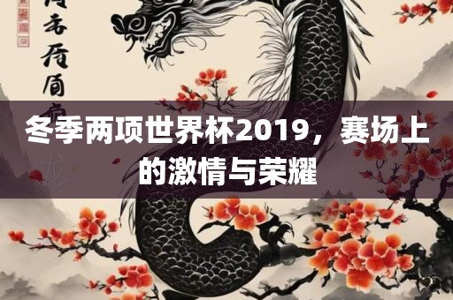冬季两项世界杯2019，赛场上的激情与荣耀