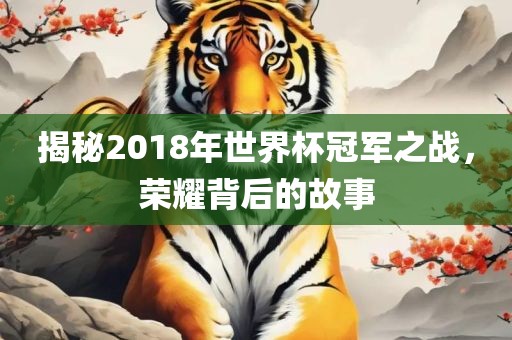 揭秘2018年世界杯冠军之战，荣耀背后的故事
